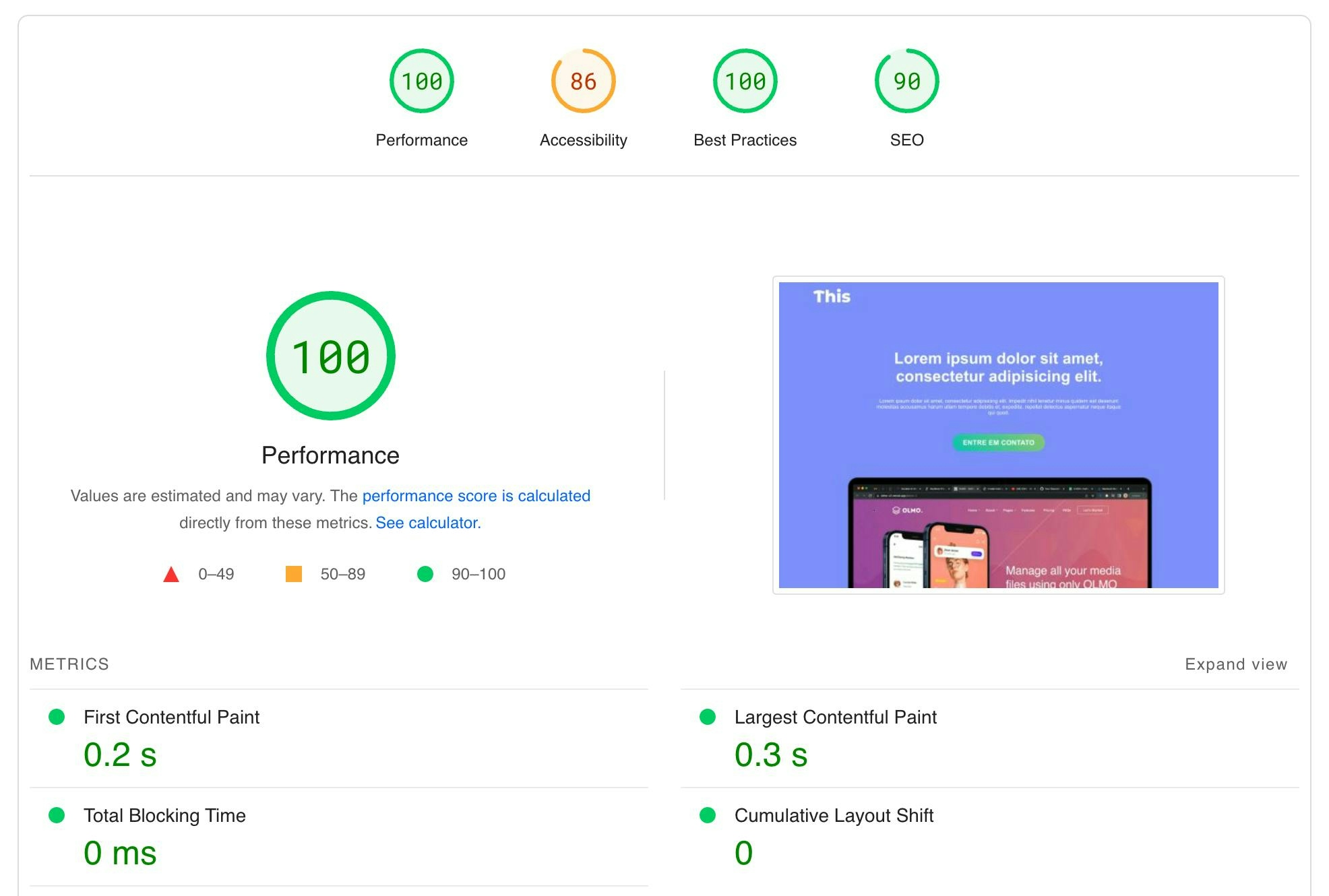 Page Insights 100% de performance